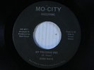 Dani Raye 45 My Precious One / Your Too Precious (inst) VG+ detroit soul