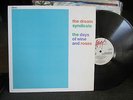 DREAM SYNDICATE DAYS OF WINE and ROSES opal LP mazzy star rain parade '82 slash