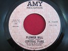 PSYCH 45 - CENTRAL PARK - FLOWER HILL / WHO WOULDN'T LOVE TO BE - AMY 11019 VG++
