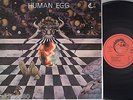 HUMAN EGG s/t RARE ORIG. LIZARD MASSIERA TORELLI COSMIC PROG DISCO LP ?