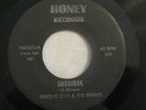 Soul/Funk 45 Singing Sam & the Sparks Daybreak/Know My Baby Loves Me HONEY Break