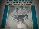 The Beach Boys 45 - When I Grow Up to be a Man w/ PS Capitol NM