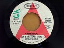 RARE- Sly & The Family Stone- Underdog/Bad Risk- Double-Sided Monster Funk Psych