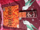 guns n roses the spaghetti incident /appetite for destruction