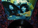 MINTY Orig 1970 DEMIAN Hard Fuzz Jammer THE BUBBLE PUPPY 2nd LP TEXAS ELEVATORS