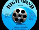 FUNK SOUL 45 ANDREW LEWIS BAND 