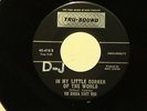 northern soul  RHODA SCOTT TRIO In My Little Corner Of The World TRU-SOUND M-