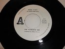 THE FLOWERPOT MEN   BEAT CITY   OG.  WLP PUNK 45..NM..AUDIO PROPAGANDA