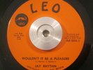Soul/Funk 45 Jay Rhythm - Wouldn't It Be A Pleasure/Soul Emotions LEO NM ORIG