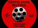 BOOGIE FUNK 45 TERRY GENGIS 
