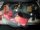 QUEEN STAND UP AND TALK.  SET OF 4 PICTURE DISCS, NUMBERED,