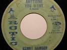 KENNY HAMBER   Anything You Want   ARCTIC northern / deep soul 45 *Listen*