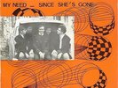 The Sheiks Belgium 67 Fuzz garage Freakbeat 45 on Covadia PS MINT My need LSTN