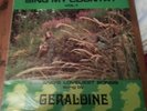 GERALDINE McKEEVER - RARE IRISH PRIVATE FEMALE FOLK LP - CUCHULAINN LABEL 1973