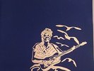 BRUCE SPRINGSTEEN  Who's Been Covered By The Boss? 3 Picture Disc RARE unplayed