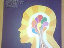Zero 7 - When It Falls - 2LP - Uk Release