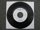 DETROIT HILLBILLY RARE 45 ESTA HUNT AND DANNY RICHARDS Fortune/ Blue Star 9131