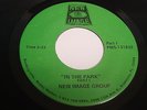 NEW IMAGE GROUP  In the Park  PRIVATE Modern Soul Boogie 45 Obscure Florida MINT