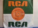 THE JOOK - Bish, Bash, Bosh / Crazy Kids - RCA 1974 ORIGINAL Junkshop Glam