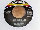 DEE DEE SHARP   **    What Kind Of Lady    **   GAMBLE  -    60 ' s Northern
