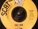 GARAGE PSYCH 45 - ZZ Top - Salt Lick/Miller's Farm - Scat - NM - LISTEN