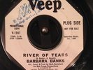 NORTHERN SOUL 45 - Barbara Banks - River of Tears - Veep Promo - HEAR