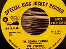 The Velours - I'm gonna change