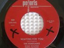 RENEGADES Waiting For You  New Hampshire POLARIS 60s Garage 45 VG+