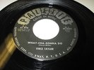 VINCE TAYLOR What Cha Gonna Do 7