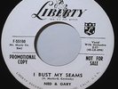 NED & GARY RARE ROCKABILLY PROMO 45 LOVIN'/I BUST MY SEAMS