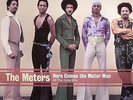 METERS, The - Here Comes The Meter Man: All The Josie Hits - 180 gram vinyl LP