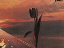 Parachute - Pretty Things (2014, Vinyl New)