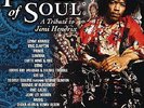 The Power Of Soul – A Tribute To Jimi Hendrix - 2 Vinyl LP 200g audiophil