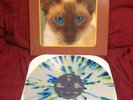 Blink 182 Cheshire Cat Vinyl Hot Topic Splatter [ Fall Out Boy , Paramore ]