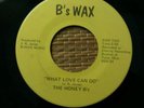 honey b's  what love can do/ if you didn't  b's wax 45 tulsa soul/funk v++ nice