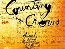 COUNTING CROWS August and Everything   2x 200g LP Vinyl  45rpm limit ovp sealed