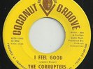 RARE MICHIGAN GARAGE-FUNK / SOUL-COCONUT GROOVE 4020-THE CORRUPTERS-45-(NM)