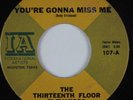 Garage 45 THIRTEENTH FLOOR ELEVATORS You're Gonna Miss Me INTERNATIONAL HEAR