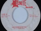 Garage Psych 45 SHIVA'S HEAD BAND Kaleidescoptic IGNITE HEAR