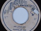 Blues 45 FRANKIE LEE SIMS Hey Little Girl ACE HEAR