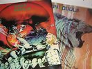 Amon Duul 11 - Dance of the Lemmings & Wolf City - lps