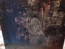 La Dispute Wildlife Vinyl RSD Press Pink/100 Title Fight Touche Amore Joyce Mano