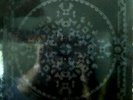 La Monte Young / Marian Zazeela 