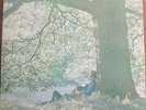 LP -  YOKO ONO PLASTIC ONO BAND - JOHN LENNON  (BEATLES) =  WHY (MADE IN USA)