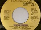 JAMES WALSH GYPSY BAND cuz it's you girl 45 RCA --- modern n. soul --- LISTEN