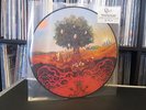 Opeth - Heritage - Limited Picture Vinyl Disc - limited to 500 copies - New