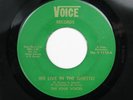 FOUR VOICES We Live In The Ghetto VOICE Detroit Northern Soul 45 HEAR