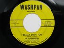 THE TOMANGOE'S I Really Love You WASHPAN Rare ORIGINAL Northern Soul 45 HEAR