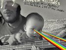 FLAMING LIPS - Dark Side of the Moon LP + CD (Vinyl, 2010, Warner) RSD clear oop