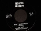 RARE FLA GARAGE 45 The Echo DON'T KNOW WHY / YOUNG PEOPLE on REBOUND